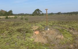 Herman van Oosten ) In totaal zijn bijna dertig nestkasten ingegraven om tapuiten te verleiden weer op de Veluwe te komen broeden (alternatief)