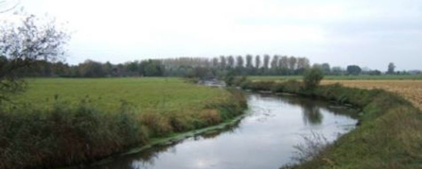 Groene Woud Dommel