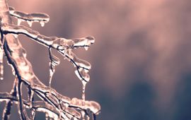 winter ijspegels winter ijspegels