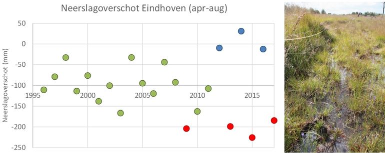 De laatste jaren zijn de zomers in Noord-Brabant ofwel heel nat (blauw) ofwel heel droog (rood)