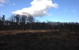 Stichting Lonnekerberg Lonnekerberg