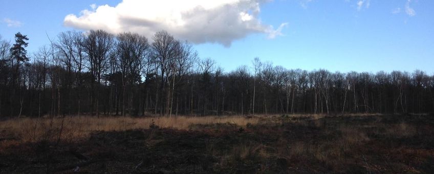 Lonnekerberg