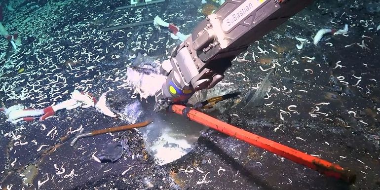 Ondergronds zeeleven wordt onderzocht met een robot