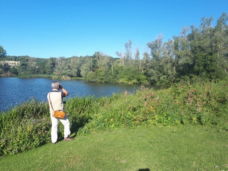 Vrijwilliger speurend naar waterschildpadden