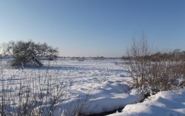 Stappersven in de sneeuw