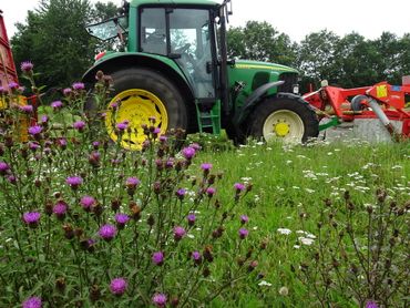 Maaien moet om bloemrijke bermen te houden, maar het gaat om de manier waarop