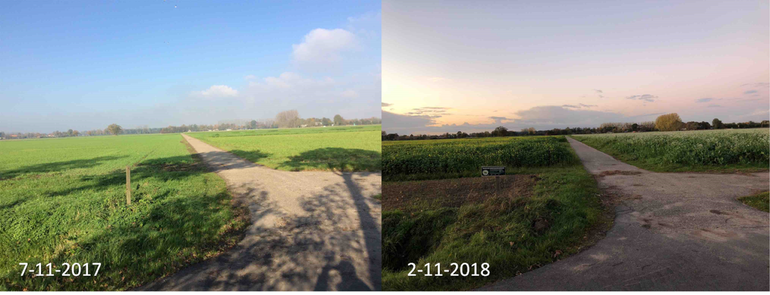 Akker aan de Plassteeg in Wageningen