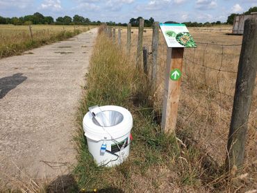 In het BIMAG-project worden nachtvlinders geteld door boeren op drie locaties op hun bedrijf