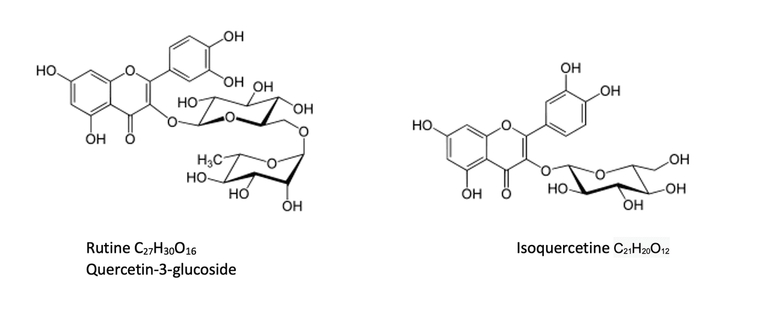 Flavonoïden, er zijn verbindingen met glucosemoleculen tot stand gekomen