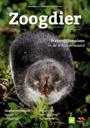 Zoogdier winter 2024