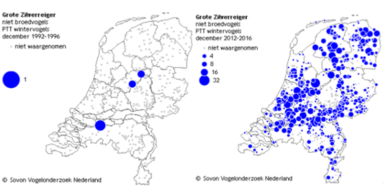 Verspreiding grote zilverreiger, winter 1992-1996 en 2012-2016