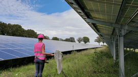 Onderzoeker telt soorten in zonnepark