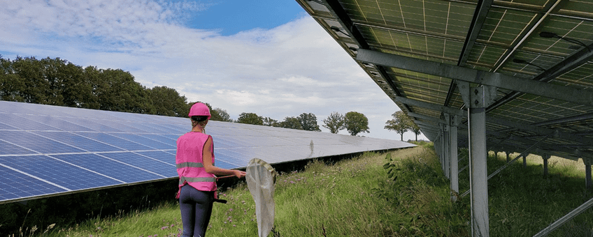 Onderzoeker telt soorten in zonnepark