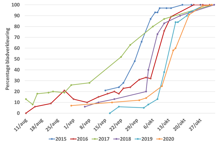 Verloop van het percentage bladverkleuring van de witte paardenkastanje (rechts in beeld op bijgevoegde fotoserie) achter het gebouw Gaia van Wageningen University & Research in de jaren 2015 tot en met 2020