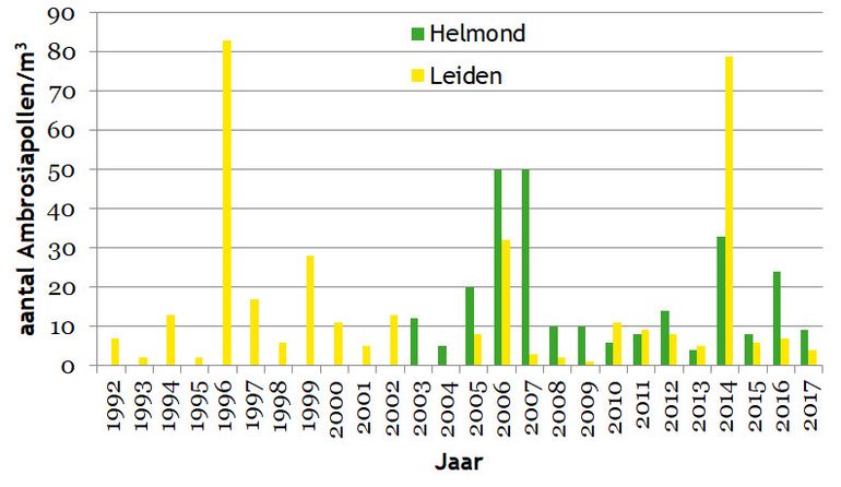 Aantal ambrosiapollen gemeten per jaar (jaartotaal per kubieke meter) door het Elkerliek Ziekenhuis (in Helmond) en het Leids Universitair Medisch Centrum (LUMC in Leiden)