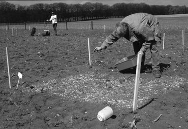 Midden op de Veluwe, op De Mossel, doet Van der Putten al zo'n 25 jaar onderzoek op uit productie genomen landbouwgronden