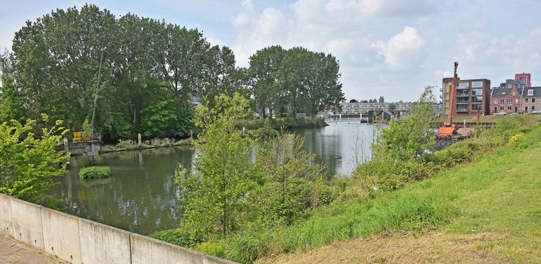 Haven aan het Wantij met de landtong. Met name de landtong met de aangrenzende haven herbergt hoge natuurwaarden. Hier werden onder meer de Getijdeslak, de Kleine karthuizerslak, de Blauwe breedscheenjuffer, de Weidebeekjuffer en de Spindotterbloem waargenomen en werden broedende IJsvogels en Groene spechten gespot