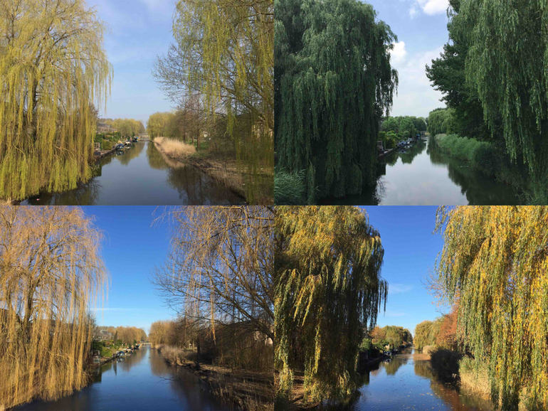 Locatie: Geuzenpad, Almere, eerste foto: 24 februari 2018, aantal foto’s in timelapse: 18