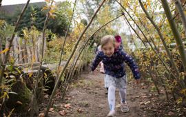 Provincie Gelderland Groen Schoolplein, Apeldoorn