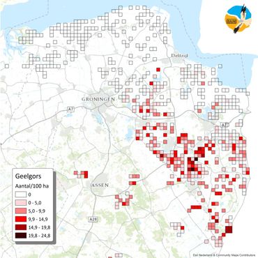 Dichtheden van broedparen Geelgors in akkerbouwgebieden in de provincie Groningen geschat op basis van MAS-tellingen in 2015.