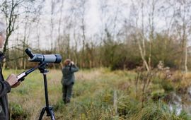 Vrijwilligers tellen in de Drentsche Aa de broedvogels