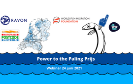 RAVON / Jeroen van Riet Banner Power to the Paling Prijs