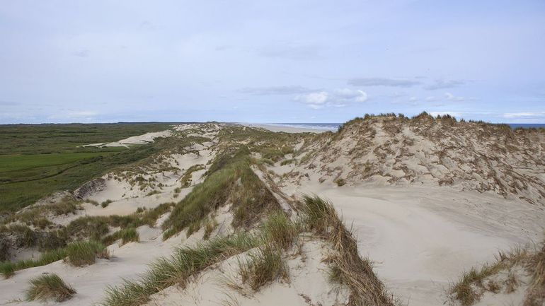 De wind heeft weer vat gekregen op het zand nadat er doorgangen zijn gemaakt. Het zand stuift landinwaarts waardoor een bredere duinenrij ontstaat
