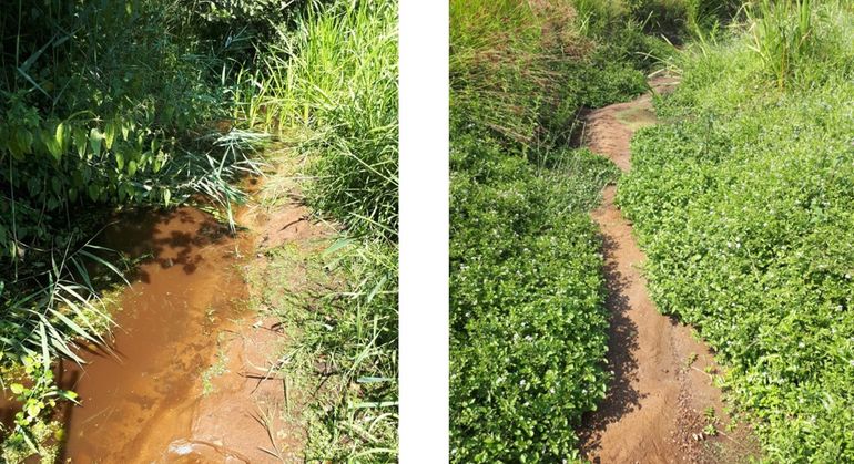 Verschil in een beek tussen wel en niet inlaten van opgepompt grondwater: er stroomt voldoende water om soorten te laten overleven