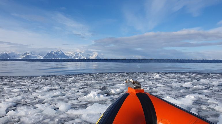 The coastal Southern Ocean in Ryder Bay, west Antarctic Peninsula