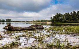 ©Maico van Barneveld - DeFotoblogger.nl Millingerwaard