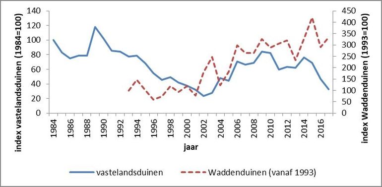 Index van getelde konijnen