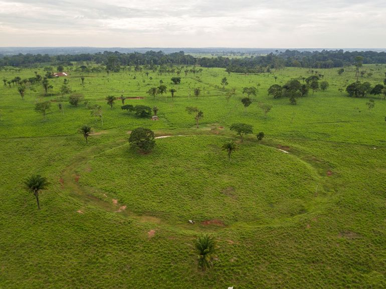 Sporen van nederzettingen gevonden in het zuidwesten van de Amazone