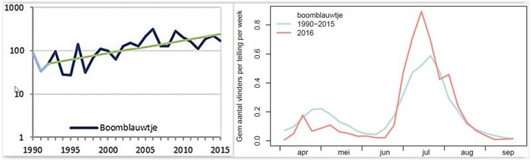 Boomblauwtje: de trend vanaf 1990 (links) en de aantallen in de tellingen in 2016, vergeleken met het gemiddelde (rechts)