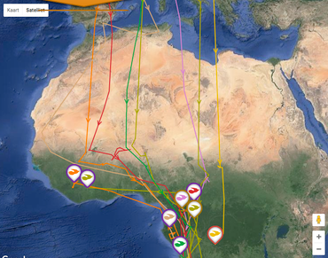 De lokaties van de koekoeken op 25 februari 2017. In landen als Ivoorkust, Ghana, Guinee en Liberia komen de koekoeken op krachten voordat ze de jump over de Sahara wagen.