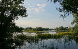 Uitzicht over de Millingerwaard