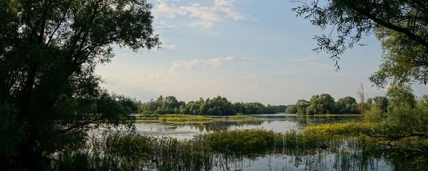 Uitzicht over de Millingerwaard