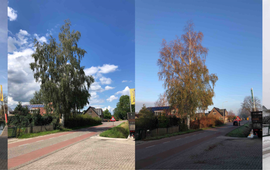 GrowApp.today Berk Bennekom 4 seizoenen https://growapp.geodan.nl/#/?activePhoto=85145&activePhotoSet=5830&fullScreen=true
