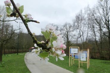 Botanische Tuinen Universiteit Utrecht