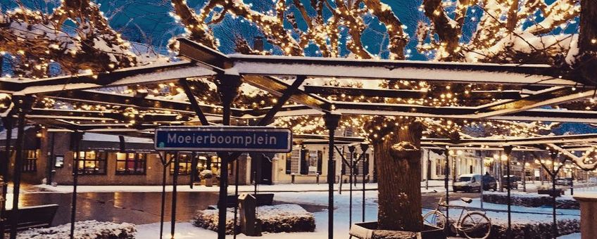 Moeierboom winterverlichting Etten-Leur boom jaar 2020