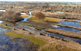 Oostelijke Vechtplassen