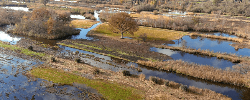 Oostelijke Vechtplassen