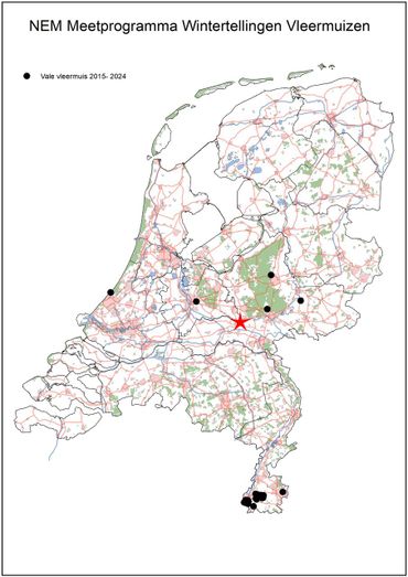Waarnemingen vale vleermuis NEM wintertellingen 2015 - 2024