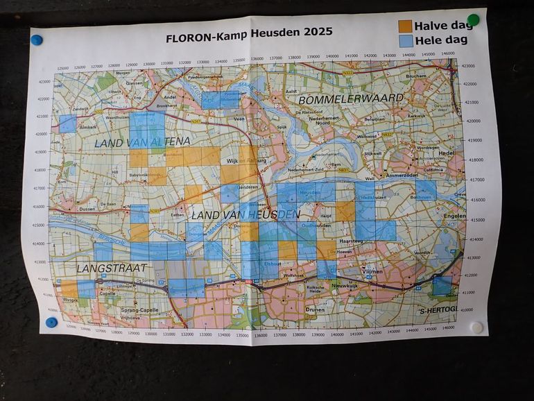 FLORON-kamp in Heusden