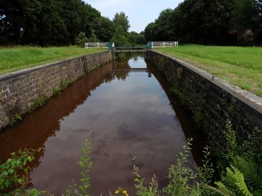 De kademuren van de sluis bij Westdorp leverden als leuke bijvangst waarnemingen op van o.a. Dicht havikskruid, Blauw glidkruid, Eikvaren en Melkeppe