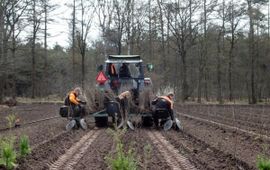 Nieuw bos wordt machinaal geplant