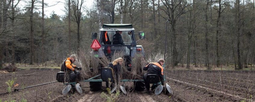 Nieuw bos wordt machinaal geplant