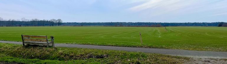 Gebruik dat is gericht op maximale efficiëntie en productiviteit heeft geleid tot een grote afname van de natuurwaarden van het Nederlandse landschap