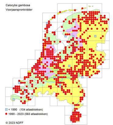 Verspreidingsatlas Voorjaarspronkridder