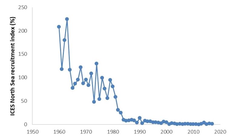 Decline of glass eel migration in the North Sea area