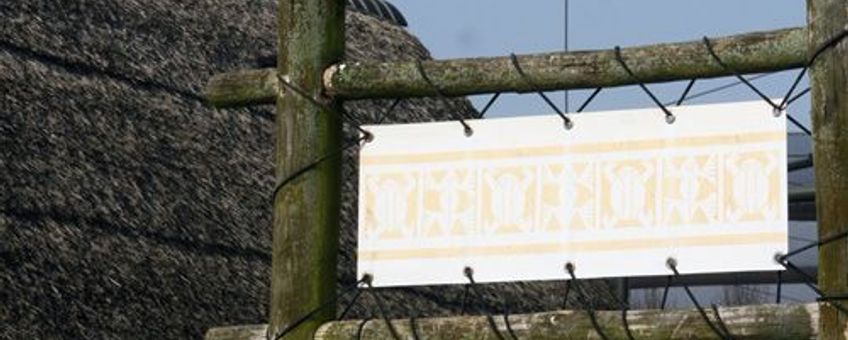 Zilvermeeuw in stad